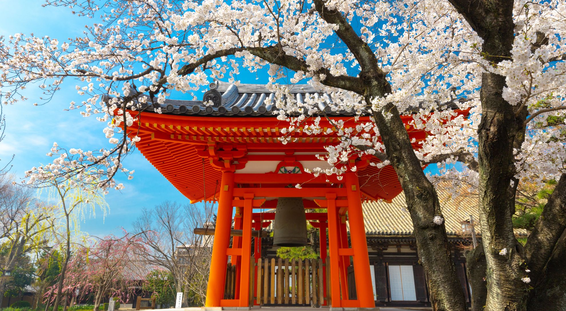 Explora Japón a través de sus novelas: Conociendo la cultura japonesa con la literatura